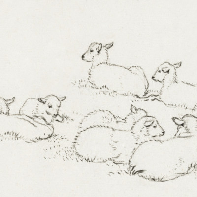 Six Lying Lambs (1820)