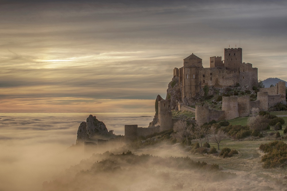 Medieval Castle Above Fog by TONY GORAN — canvas wall art