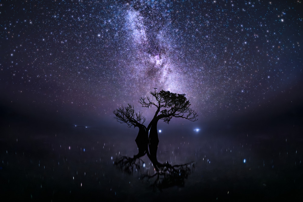 Milky Way Tree Reflection by R Suguri — canvas wall art