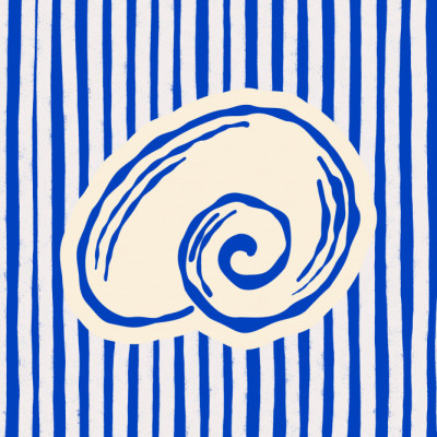 Blue Striped Shell