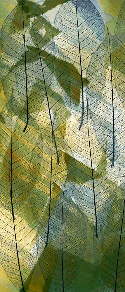 Ethereal Green Leaves by Saskia Dingemans — canvas wall art