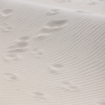 Sand Ripples And Footprints