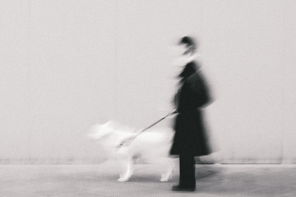 Motion Blur Dog Walk by Roberto Ruoli — canvas wall art