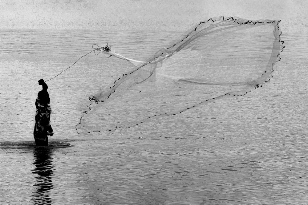 Graceful Net Toss by Florent Dirk Thies — canvas wall art