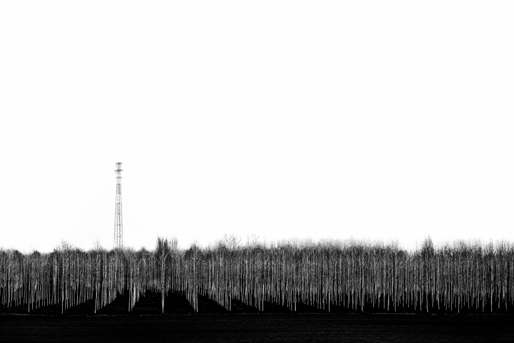 Stark Winter Tower by Stefano Scappazzoni — canvas wall art