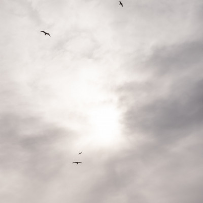 Sicilian Memories 13