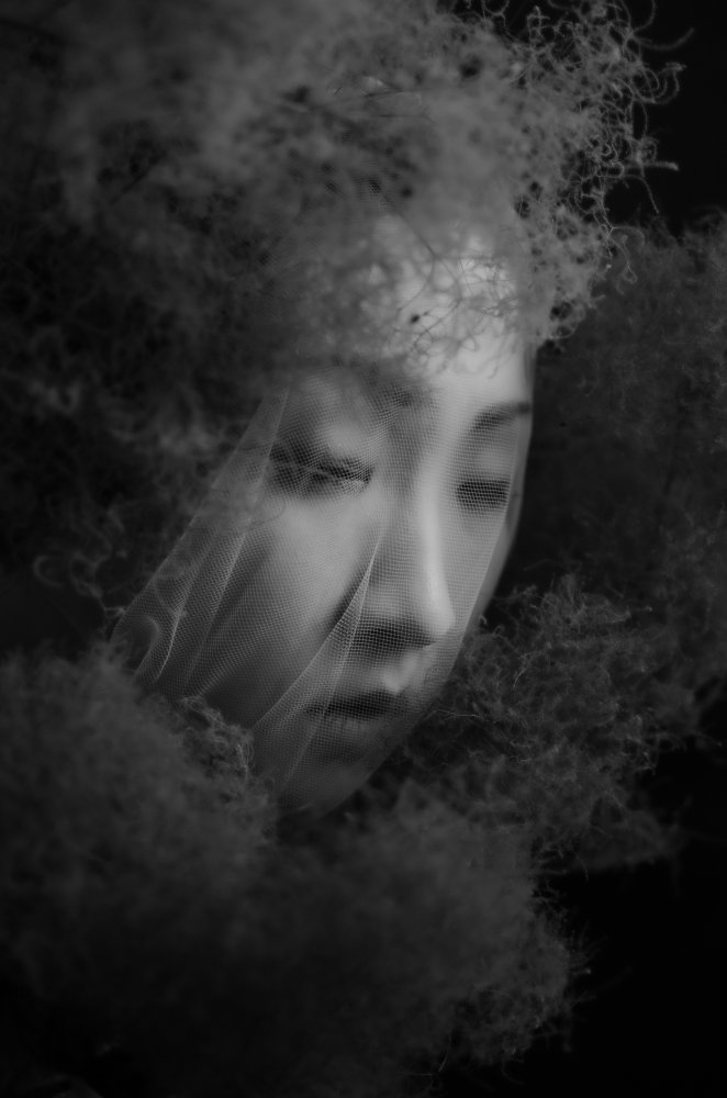 Veiled Ethereal Dream by Kuchiko Nogi — canvas wall art