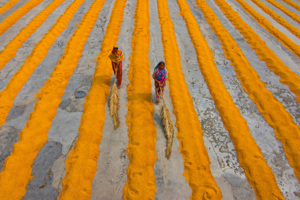 Women Drying Grain by Azim Khan Ronnie — canvas wall art