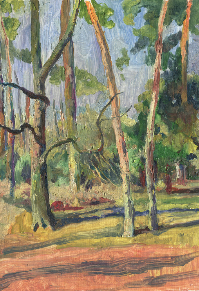 Sunlit Forest Path by Catalina Somolinos — canvas wall art