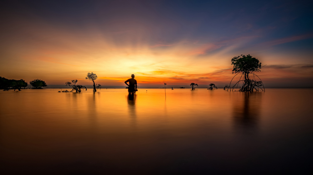 Golden Sunset Silhouette by R Suguri — canvas wall art