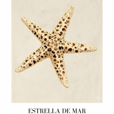 Estrella De Mar