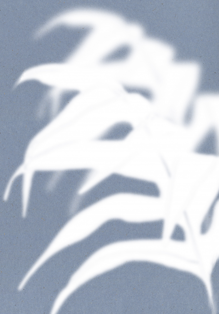 Tropical Shadow Play by THE MIUUS STUDIO — canvas wall art