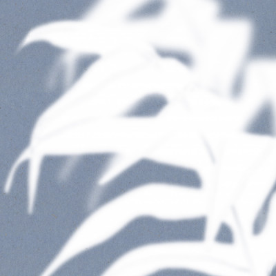 Tropical Shadow Play