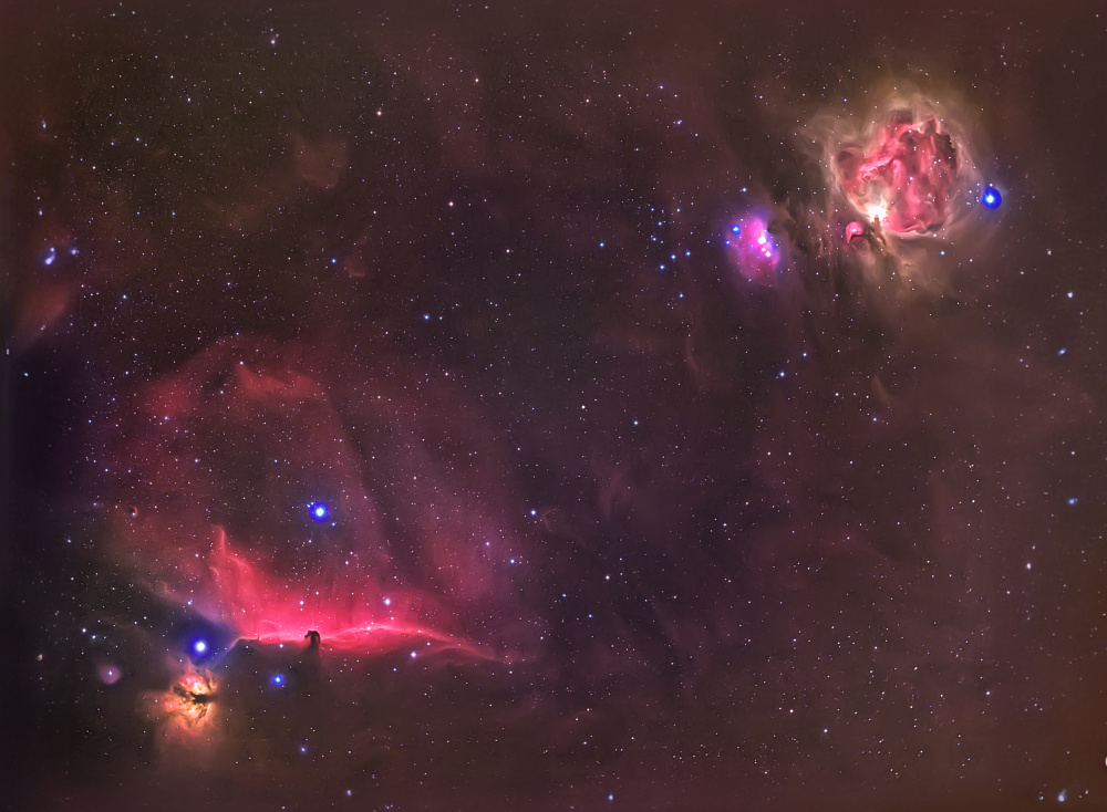 Orion Horsehead Nebulae by Andrea Auf dem Brinke — canvas wall art