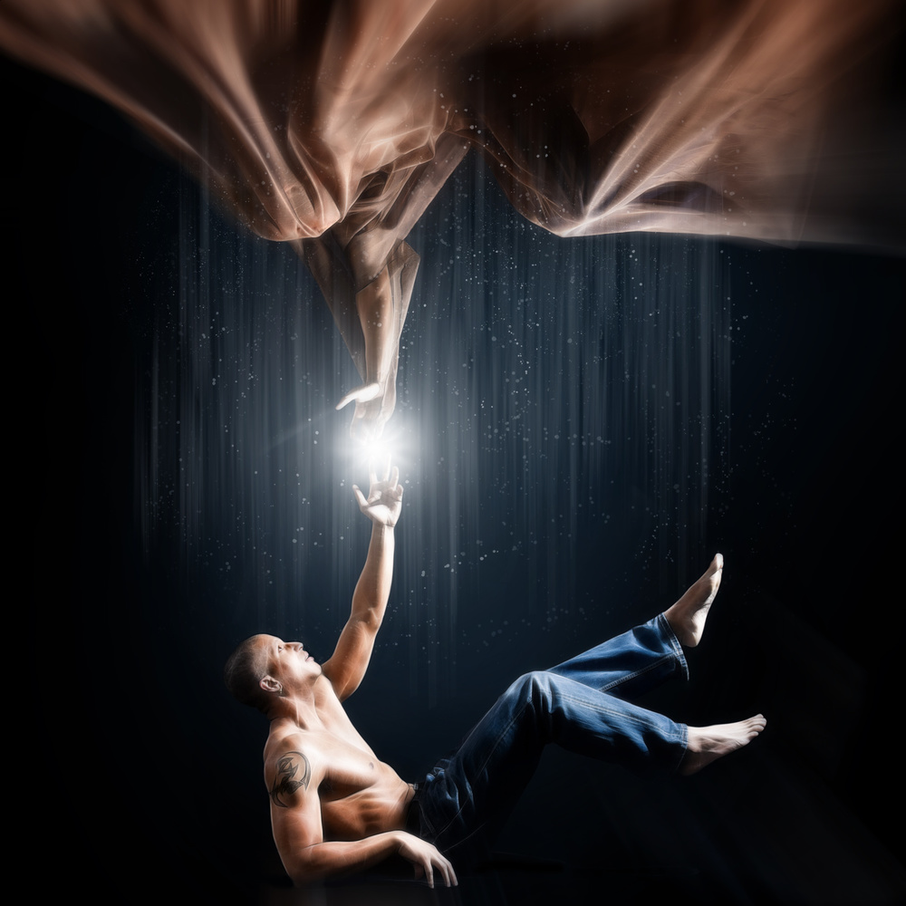 Reaching For Light by JLP — canvas wall art