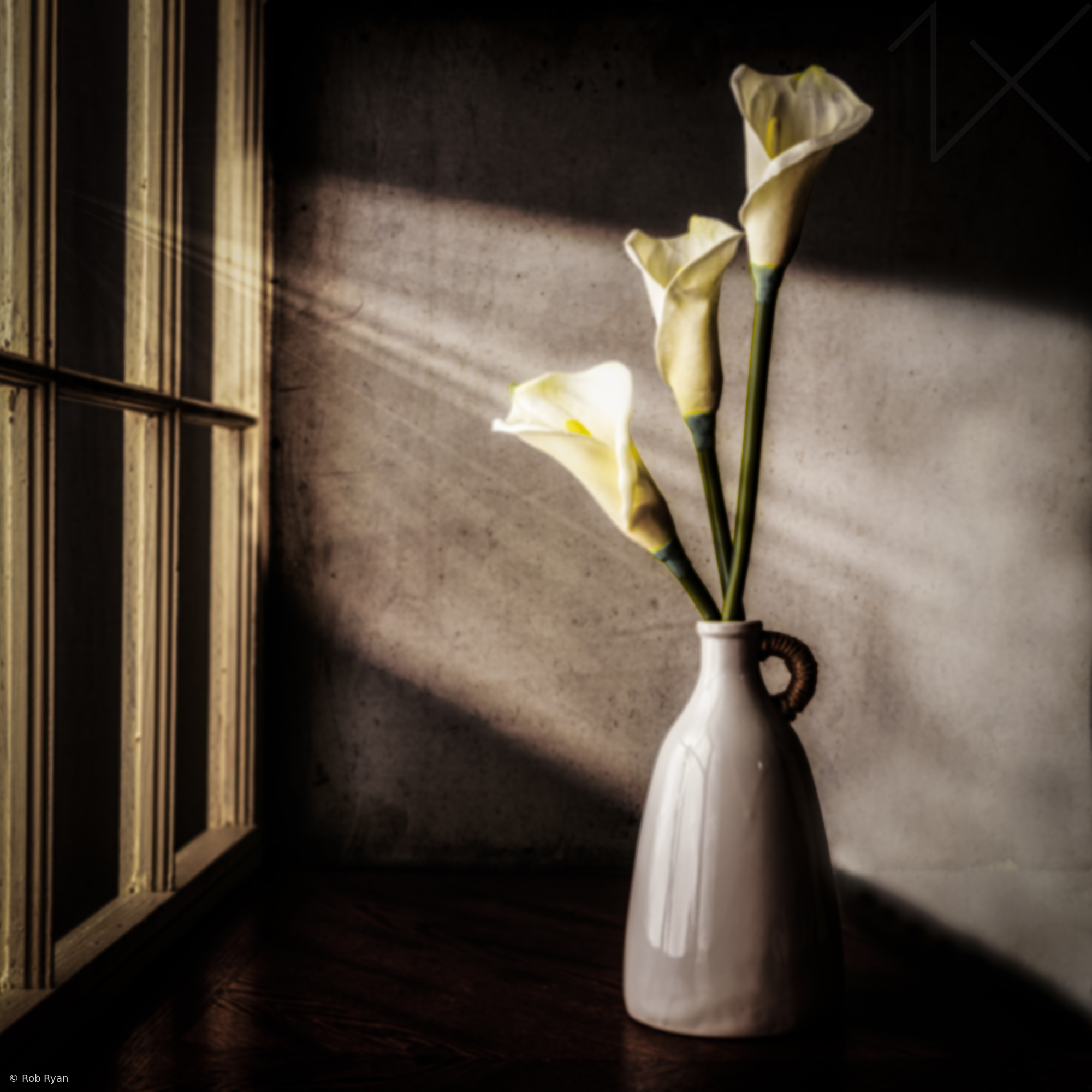 Let the Sun Shine In