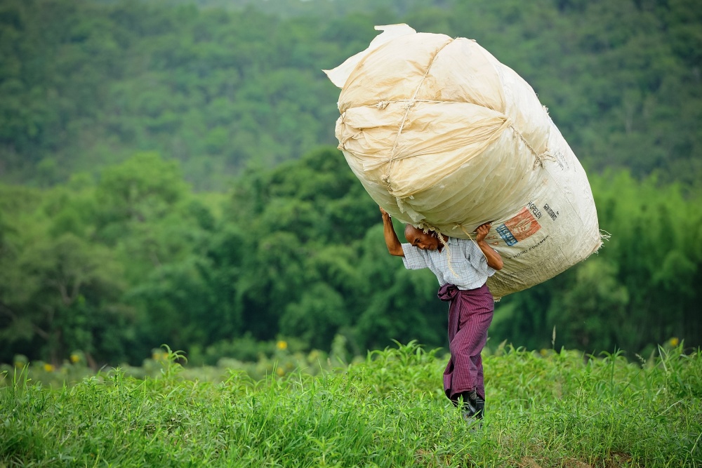 Man Carries Heavy Load by Vichaya — canvas wall art