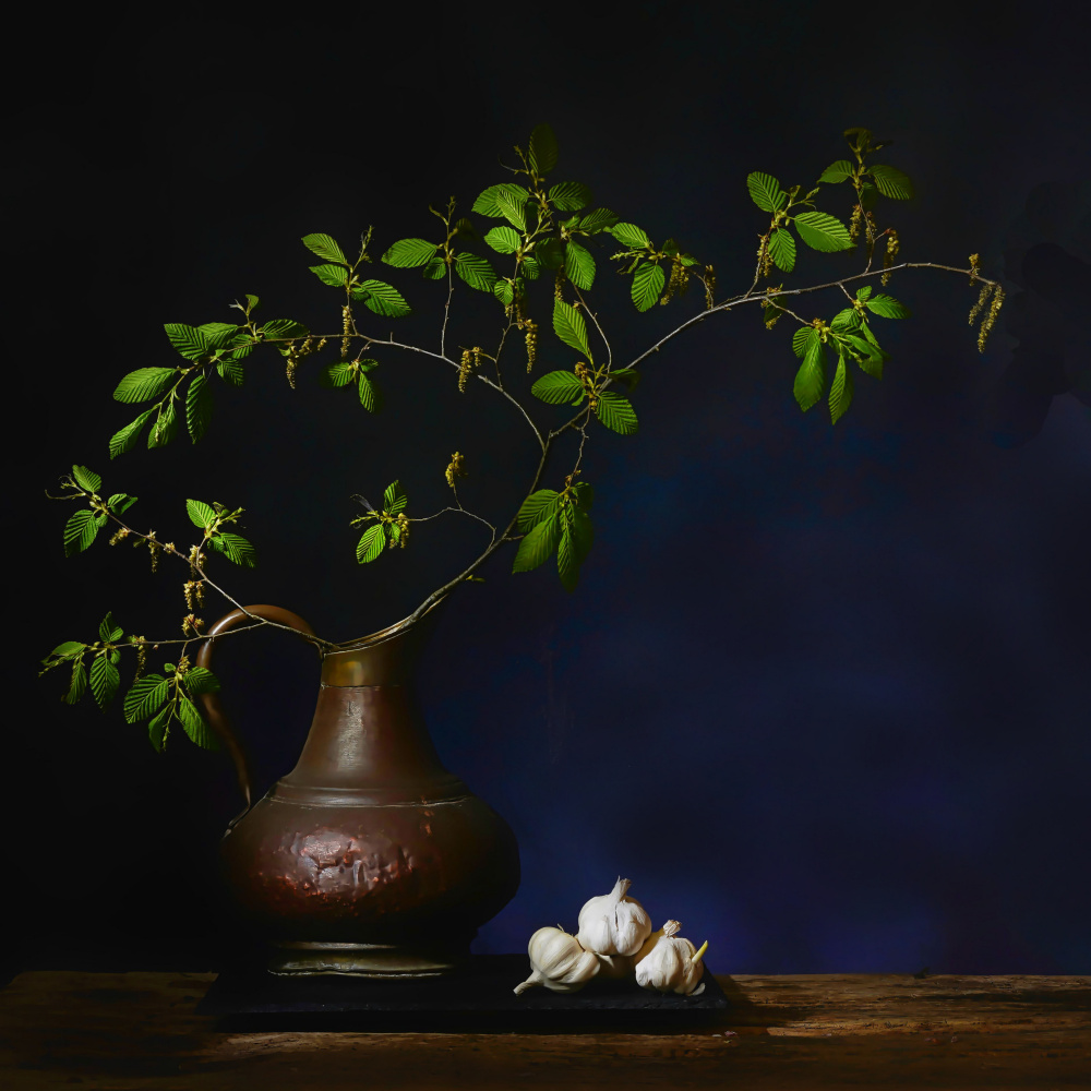 Greenery and Garlic Still Life by Saskia Dingemans — canvas wall art