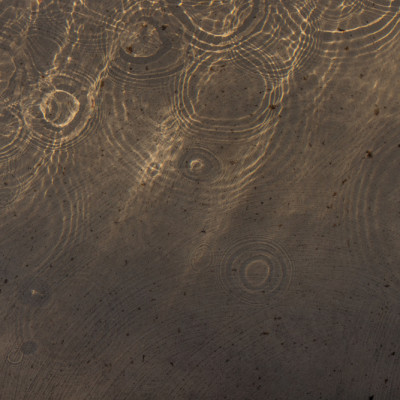 Shimmering Water Circles