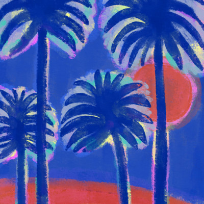 Dreamy Tropical Palms