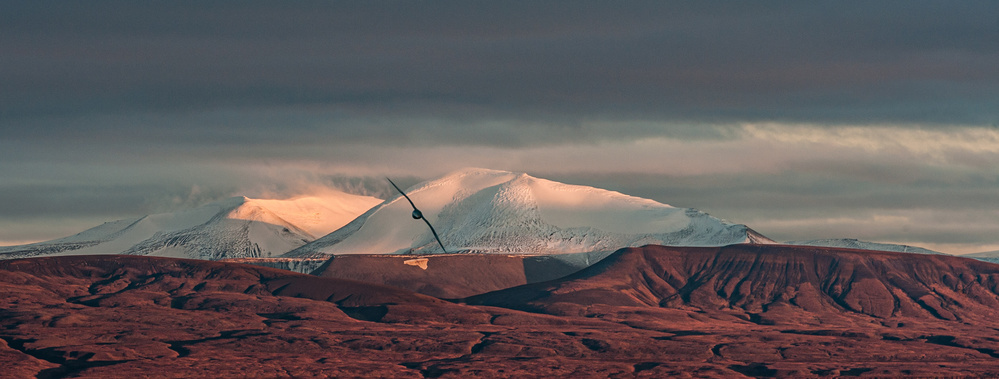 Golden Hour Mountain Flight by Ann Cornelis — canvas wall art