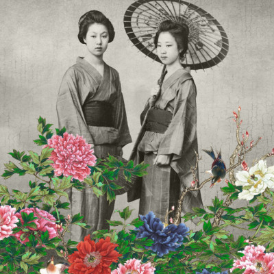 A Summer Afternoon In Japan