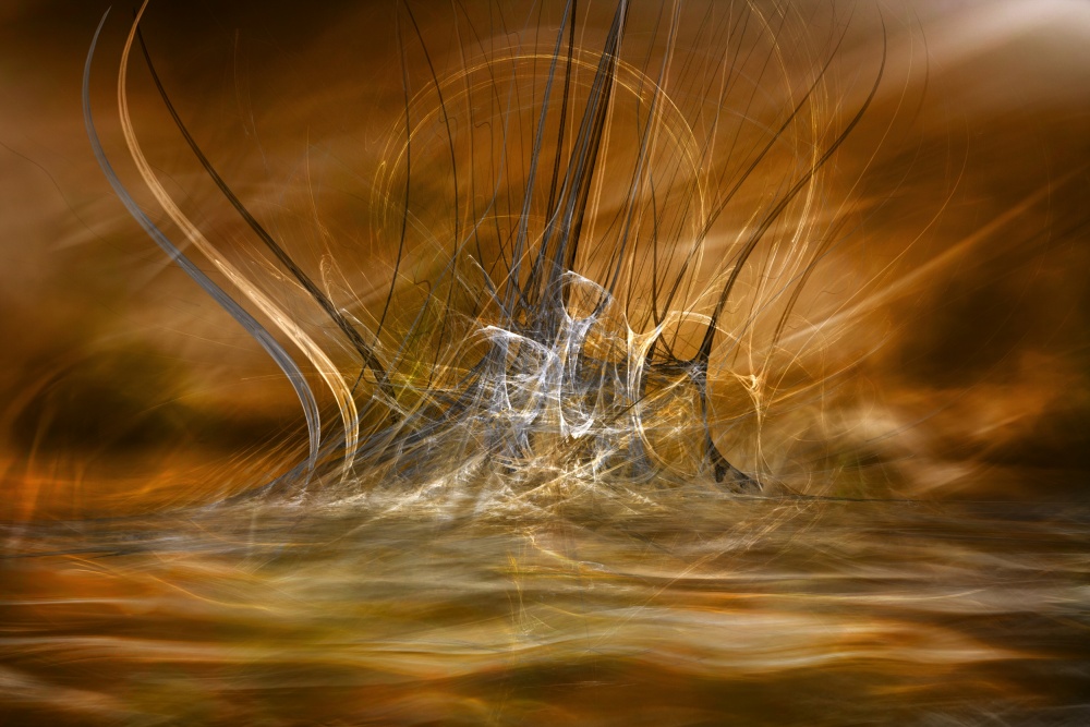 Abstract Golden Flow by Willy Marthinussen — canvas wall art