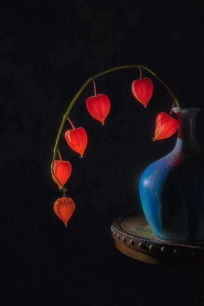 Glowing Lanterns Still Life by Lydia Jacobs — canvas wall art