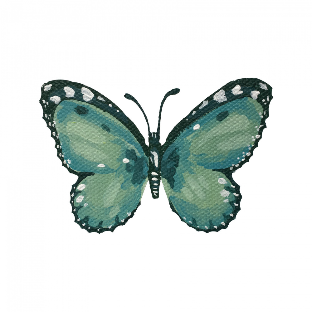Elegant Teal Butterfly by Madison Phipps — canvas wall art