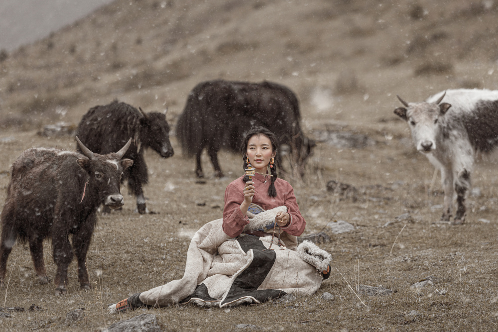 Highland Woman Snowy Yaks by 吴子诚WuZiCheng — canvas wall art