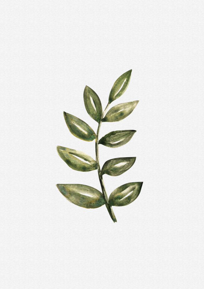 Delicate Green Foliage by Olena Kovalova — canvas wall art