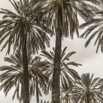 Sicilian Memories 17