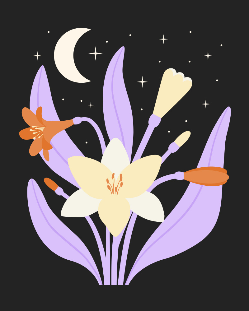 Celestial Night Blooms by Artprink — canvas wall art