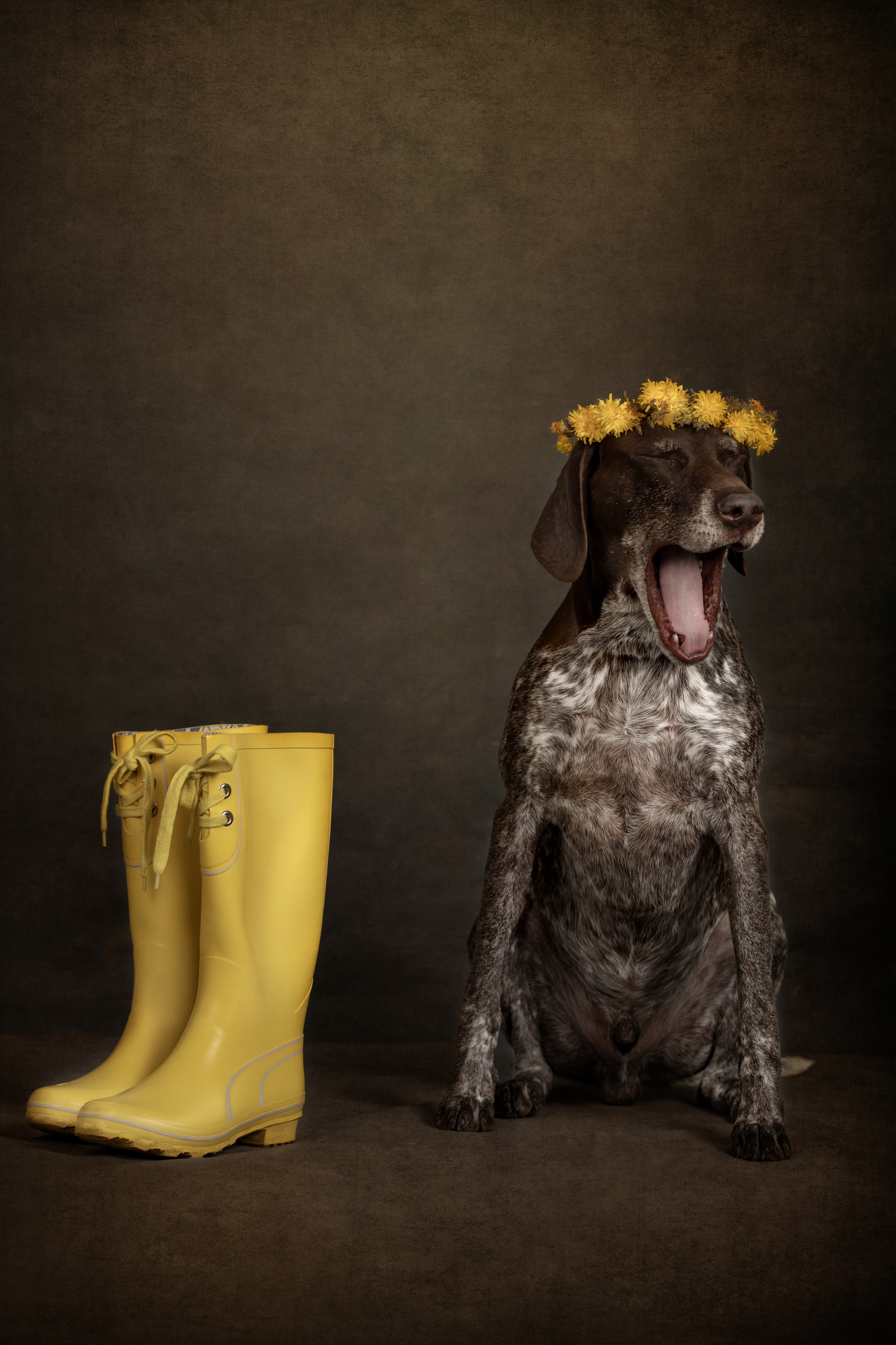 Yellow afternoon