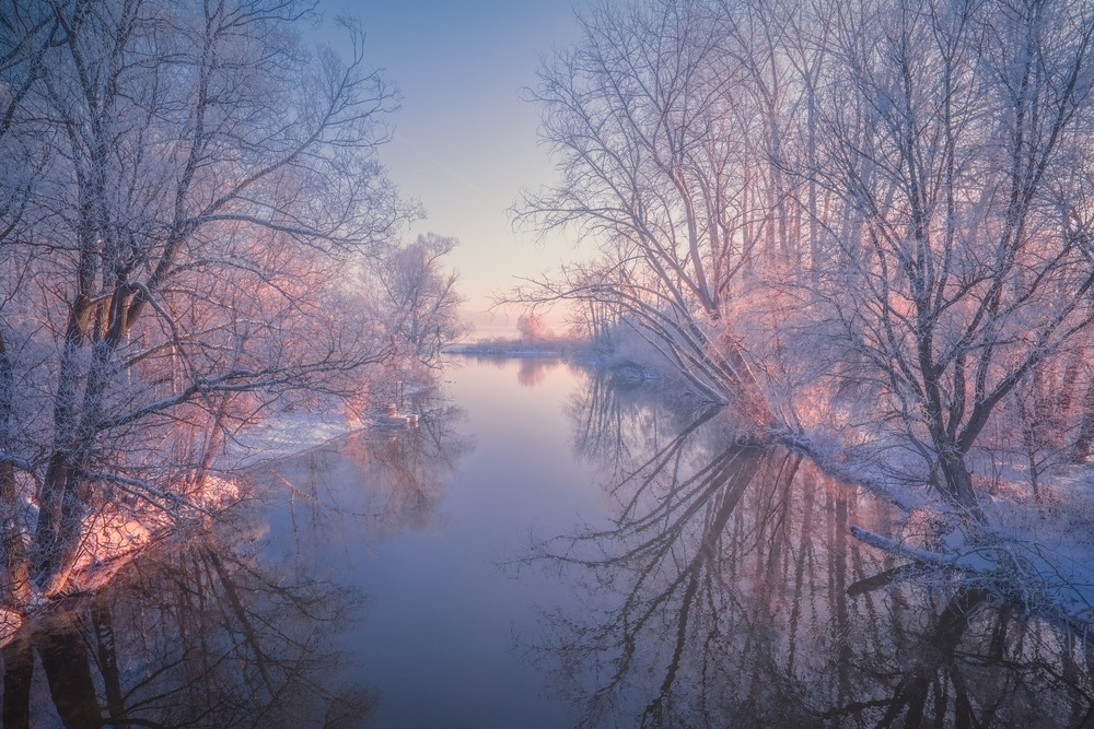 Serene Winter Reflections by Patrick Aurednik — canvas wall art