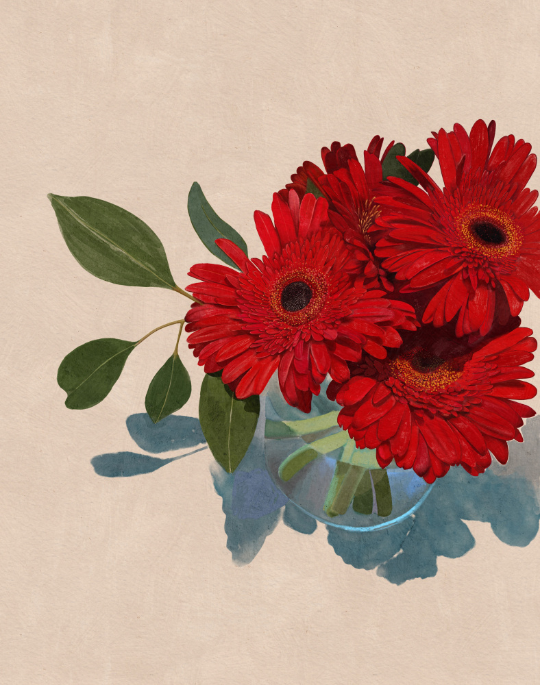 Gerbera Daisy by Katie O'Shea — canvas wall art