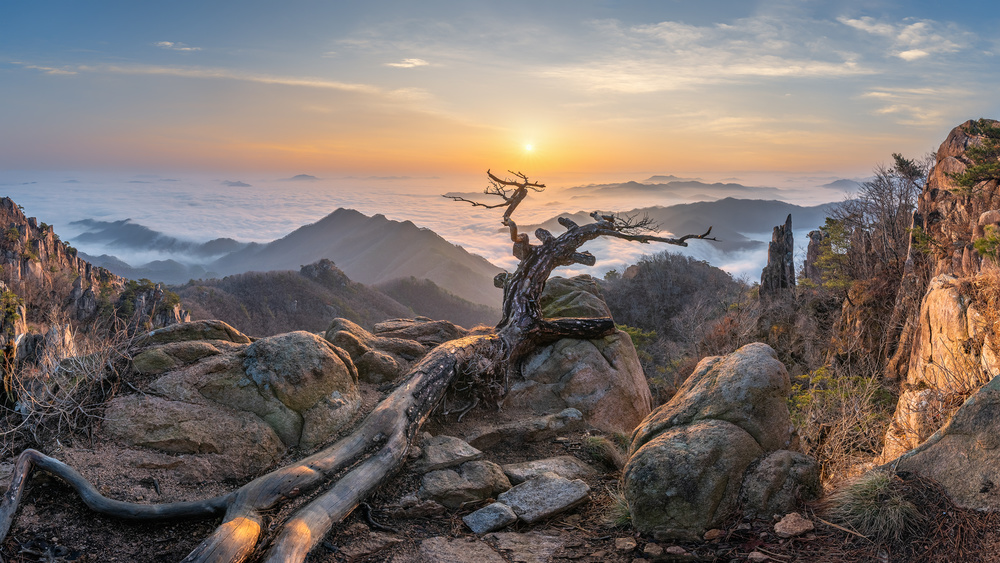 Mountain Sunrise Above Clouds by Jaeyoun Ryu — canvas wall art