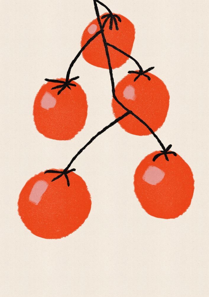 Fresh Tomato Vine by Nicholas — canvas wall art