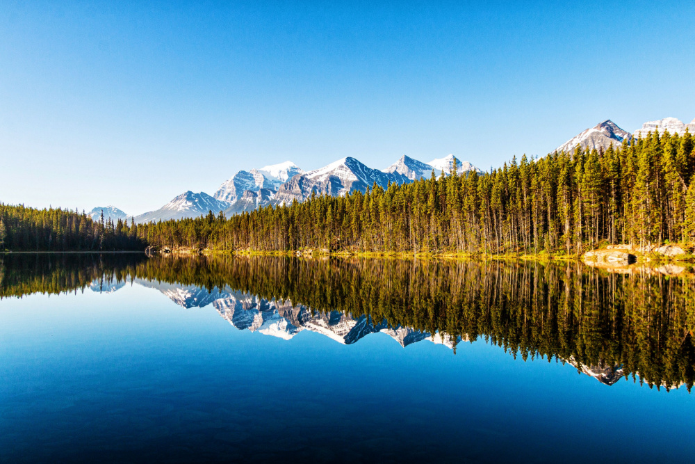 Majestic Mountain Reflection by GuruShots — canvas wall art