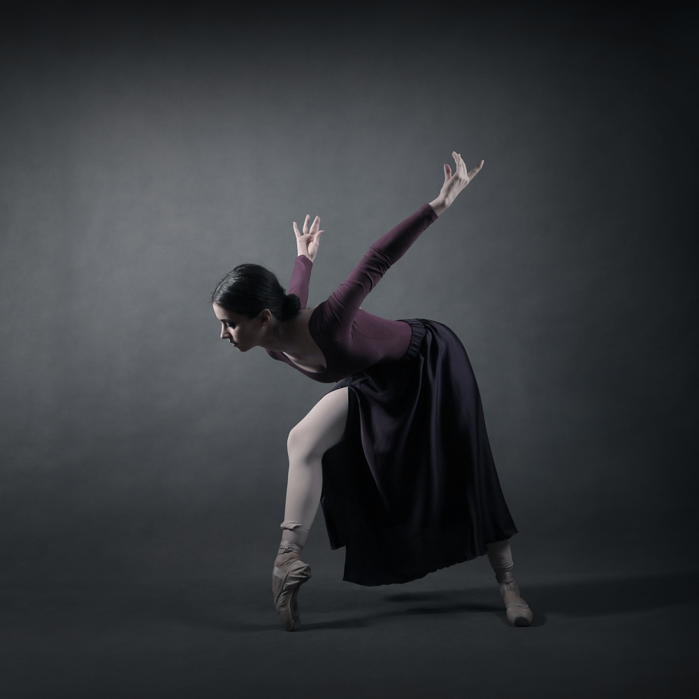 Graceful Ballet Pose by Moein Hasheminasab — canvas wall art