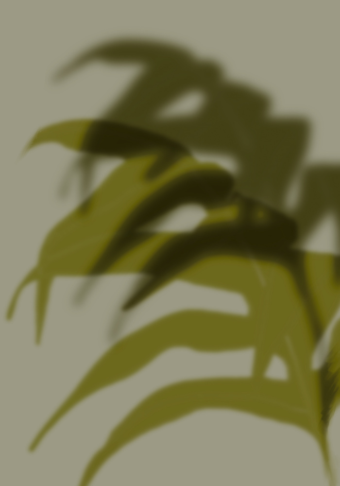 Tropical Shadow Play by THE MIUUS STUDIO — canvas wall art