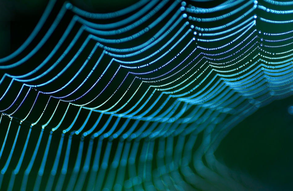 Sparkling Aqua Web by Allan Wallberg — canvas wall art