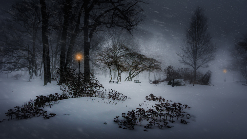 Snowy Winter Park Night by Yi Liang — canvas wall art