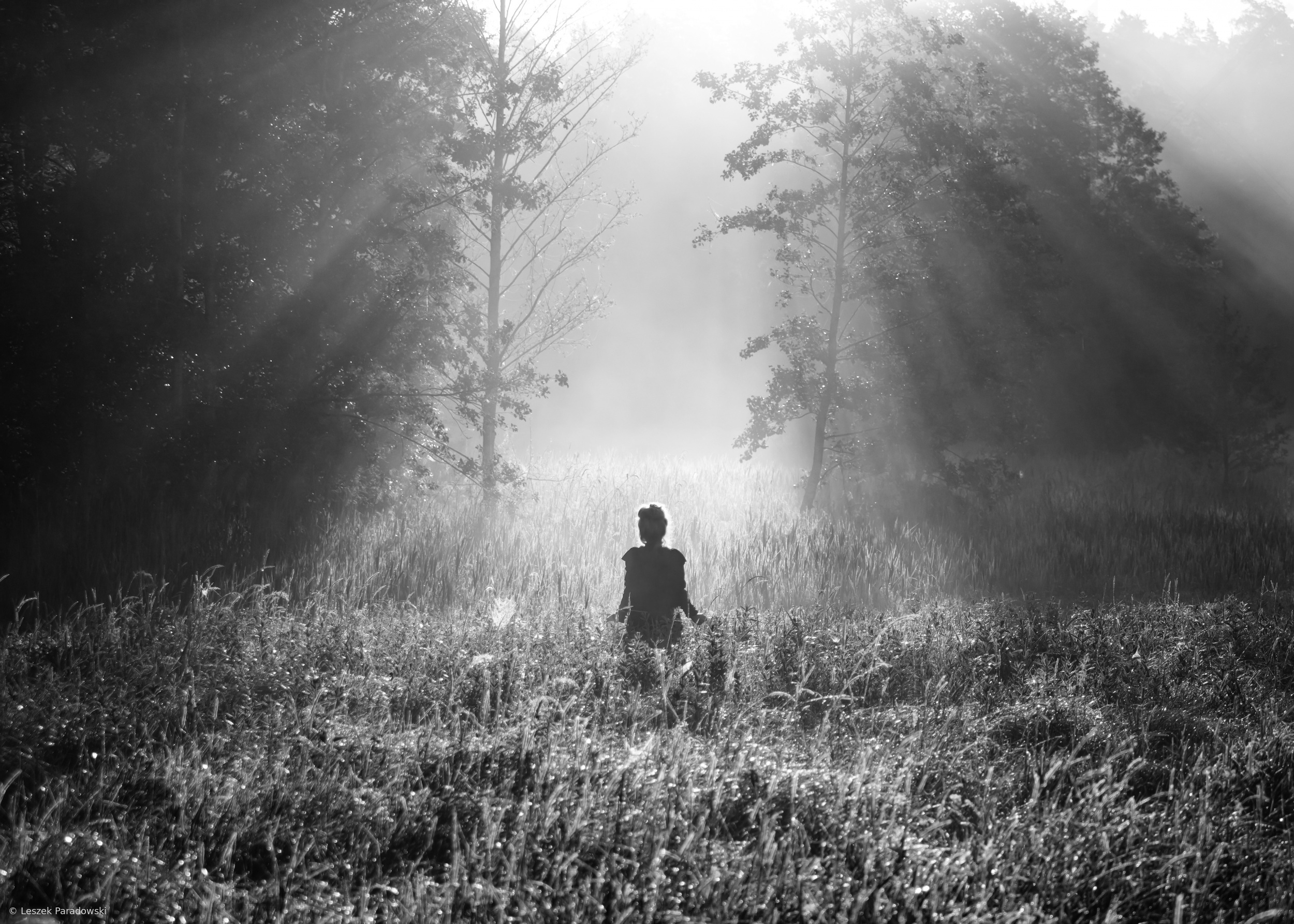 Where Silence Lives