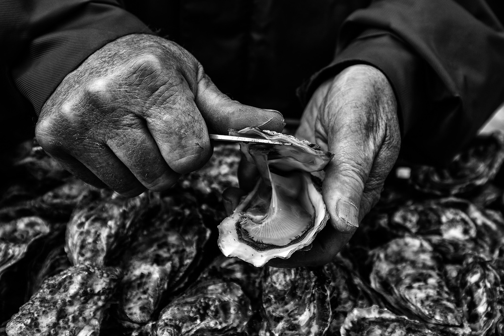 Hands Shucking Oysters by Manu Allicot — canvas wall art