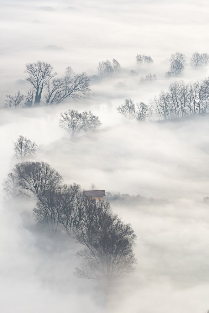 Misty Winter Landscape by Marco Galimberti — canvas wall art