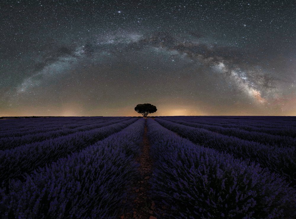 Milky Way Over Lavender by Jesus Concepcion Alvarado — canvas wall art