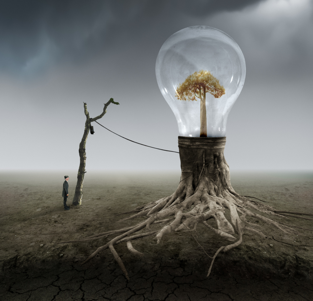 Lightbulb Tree Idea by Biao  Huang — canvas wall art