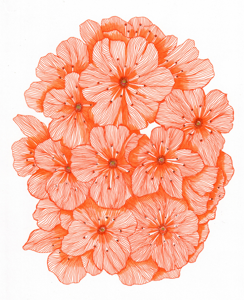 Big Orange Flowers by Katie O'Shea — canvas wall art