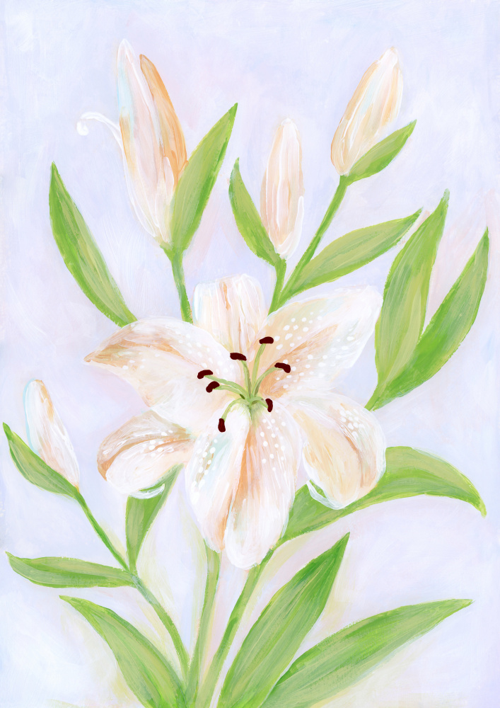 Blooming White Lilies by Rosana Laiz Blursbyai — canvas wall art